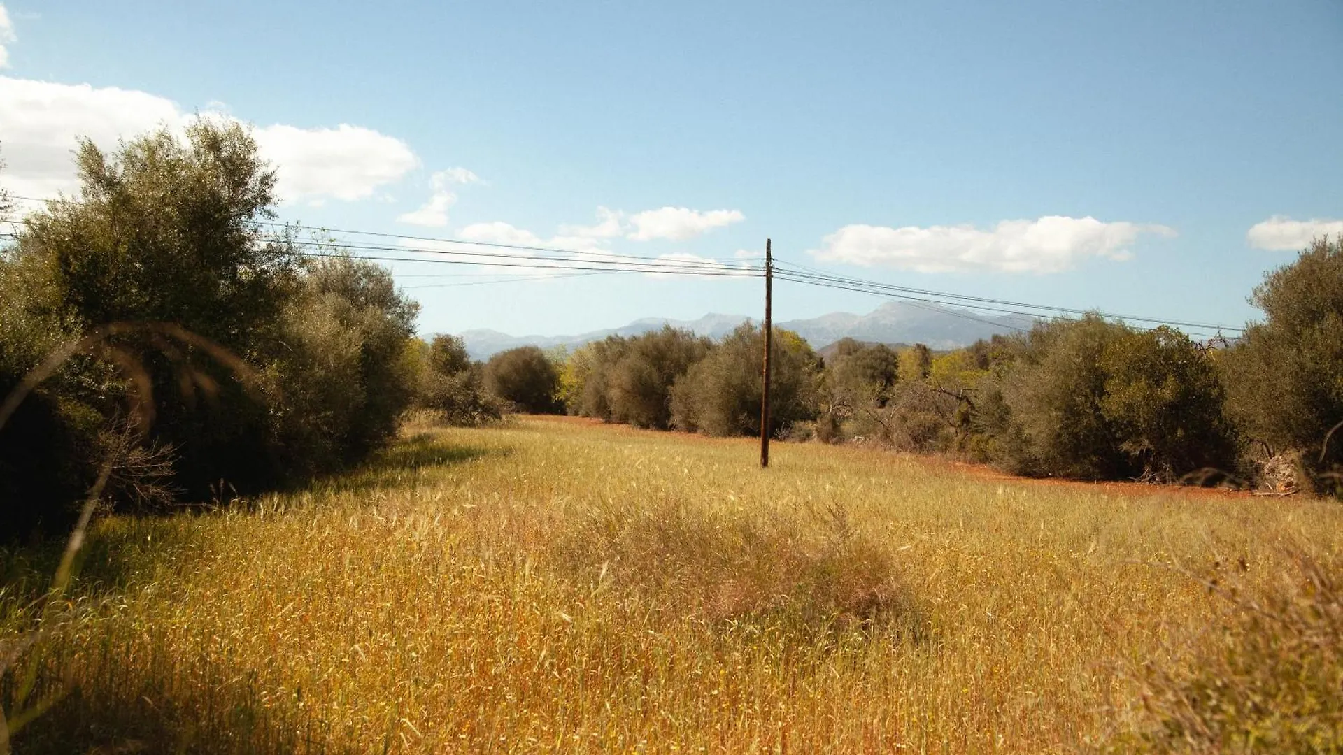 Country house Casa Mona Turismo De Interior Guest House Llubi